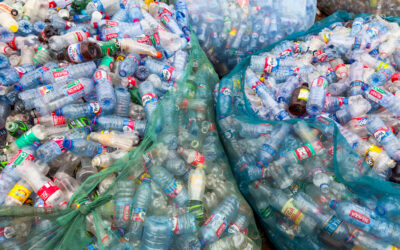 Earth Day